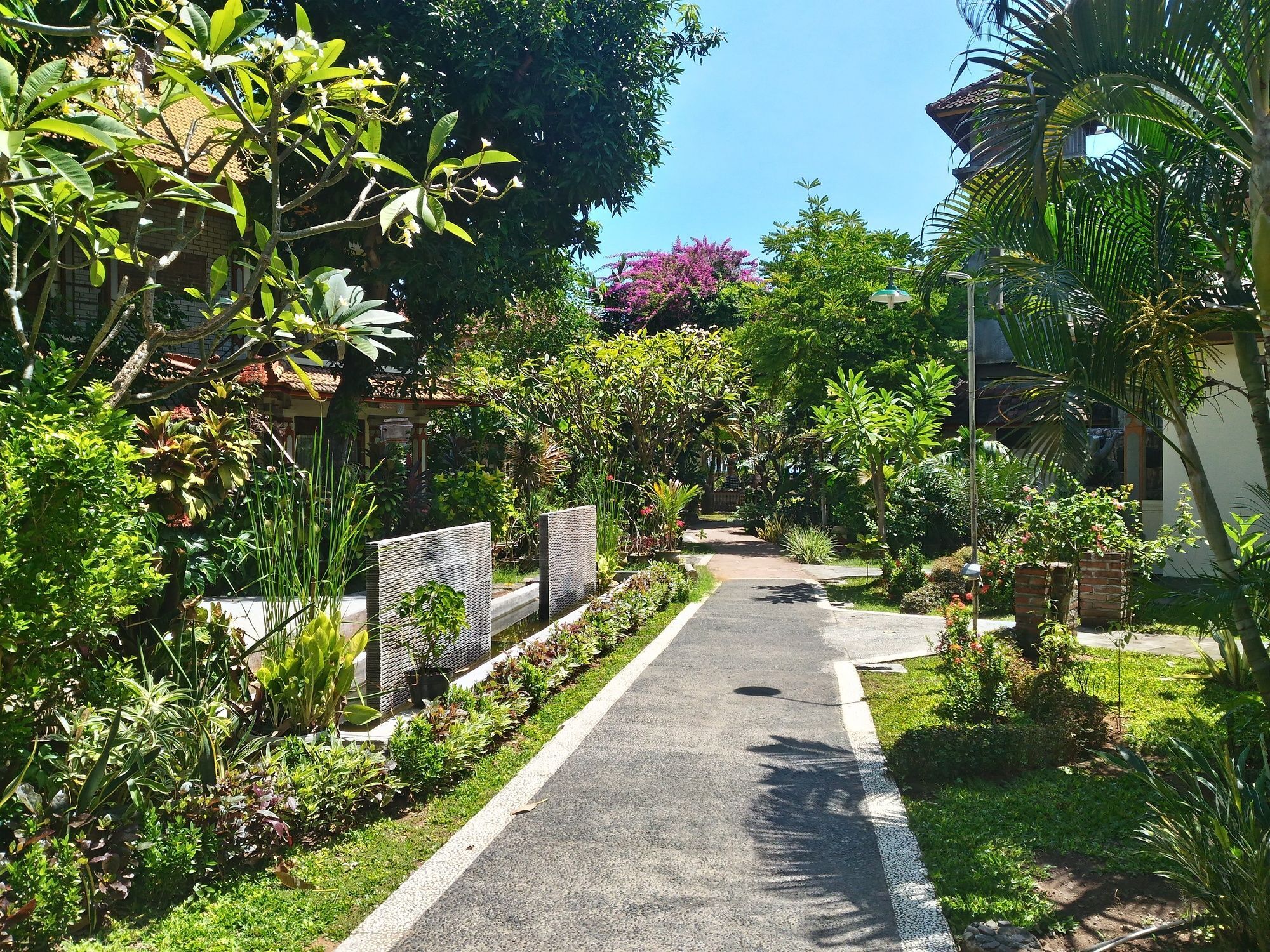 Lovina Beach Hotel Pabean Buleleng Eksteriør billede